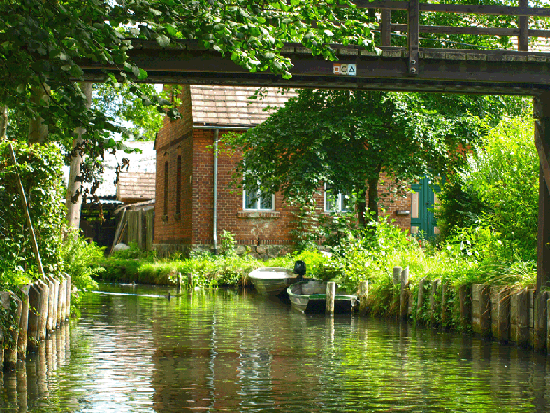 Jahresausflug Cottbus/Spreewald/Berlin 2015